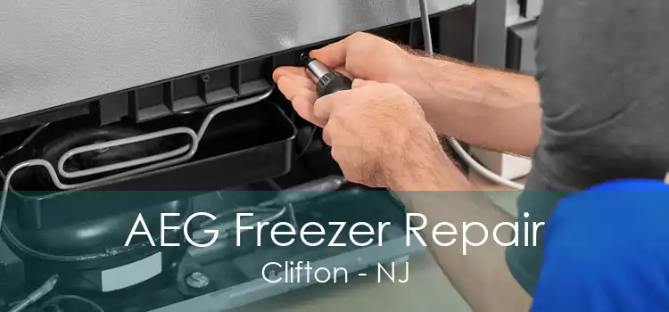 AEG Freezer Repair Clifton - NJ