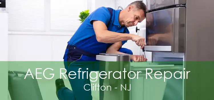 AEG Refrigerator Repair Clifton - NJ