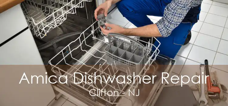 Amica Dishwasher Repair Clifton - NJ