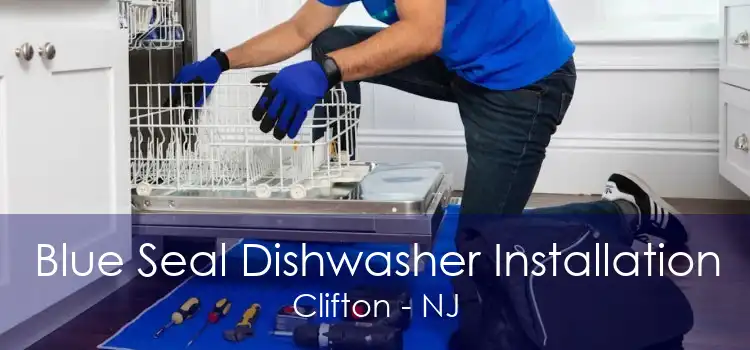 Blue Seal Dishwasher Installation Clifton - NJ