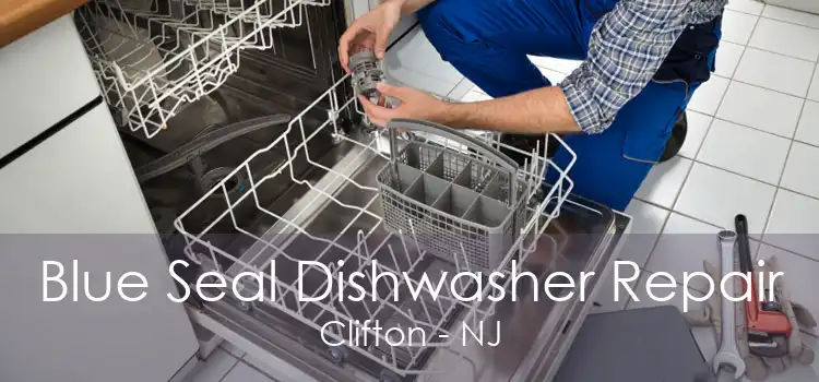 Blue Seal Dishwasher Repair Clifton - NJ