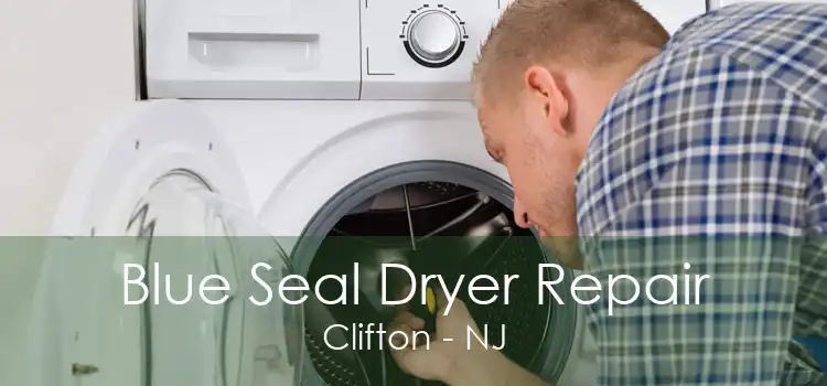 Blue Seal Dryer Repair Clifton - NJ