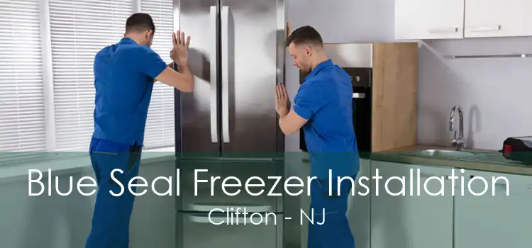 Blue Seal Freezer Installation Clifton - NJ