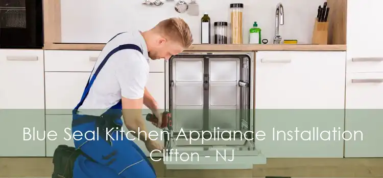 Blue Seal Kitchen Appliance Installation Clifton - NJ