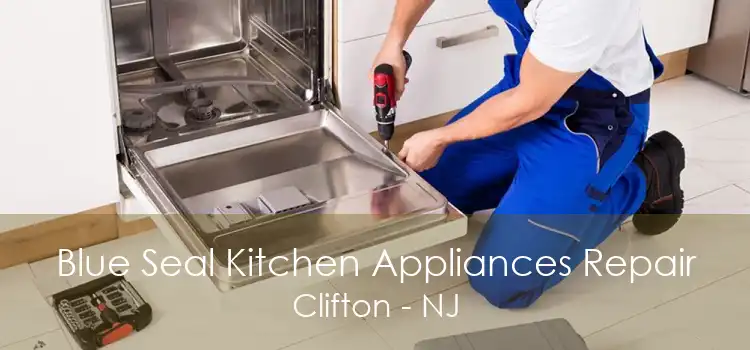 Blue Seal Kitchen Appliances Repair Clifton - NJ