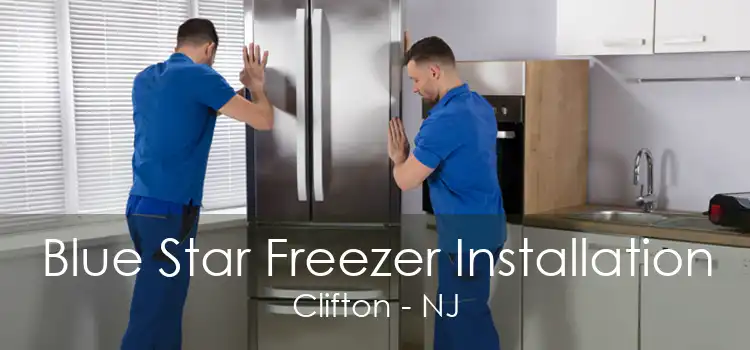 Blue Star Freezer Installation Clifton - NJ