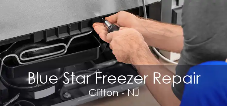 Blue Star Freezer Repair Clifton - NJ