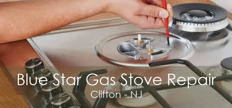 Blue Star Gas Stove Repair Clifton - NJ