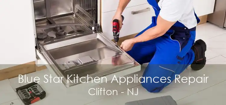 Blue Star Kitchen Appliances Repair Clifton - NJ