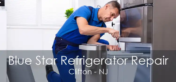 Blue Star Refrigerator Repair Clifton - NJ