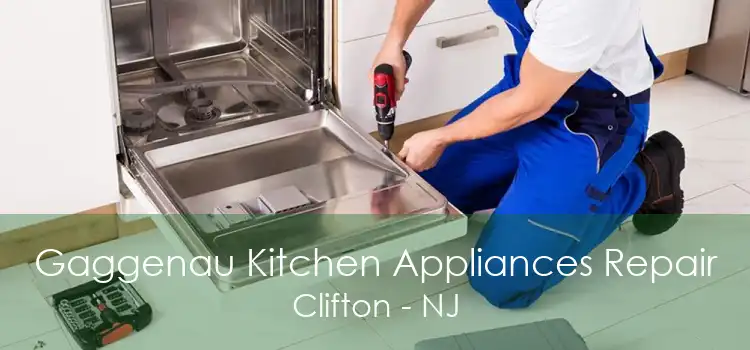 Gaggenau Kitchen Appliances Repair Clifton - NJ