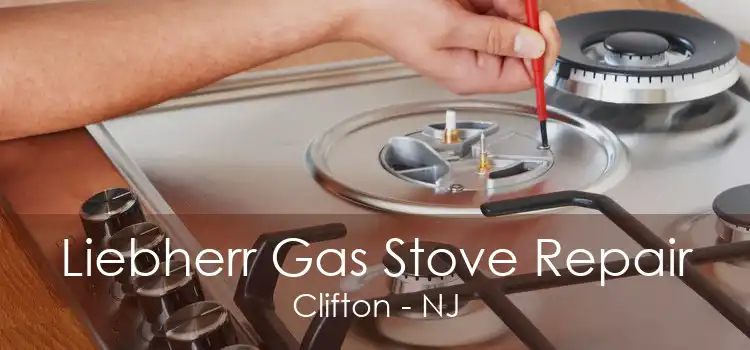 Liebherr Gas Stove Repair Clifton - NJ